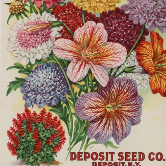 SpringTime🌸🤞 - Picture 6 of 16